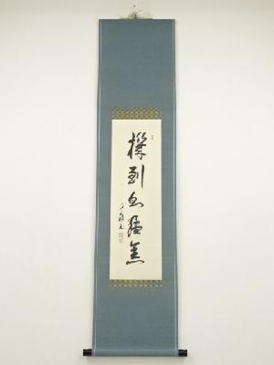 大徳寺　橘宗義筆　一行書　肉筆紙本掛軸（保護箱）